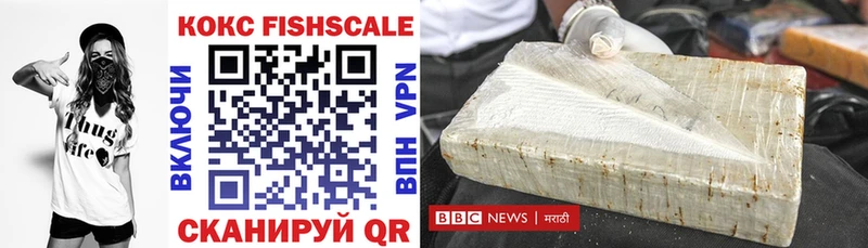 Cocaine Fish Scale  МЕГА как войти  Орск  купить наркотики цена 