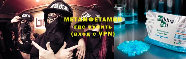 индика Богородицк