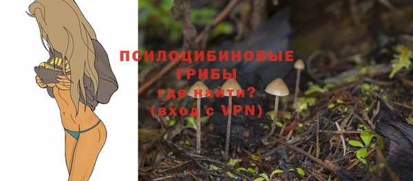 индика Богородицк