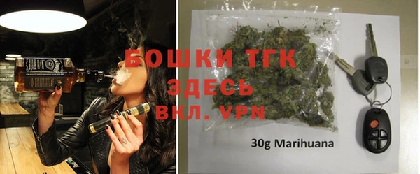 индика Богородицк