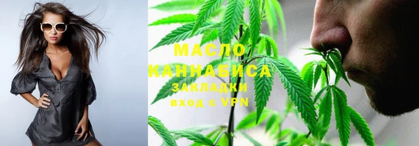 индика Богородицк