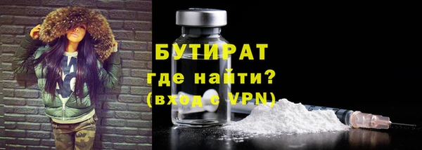 индика Богородицк