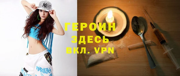 индика Богородицк