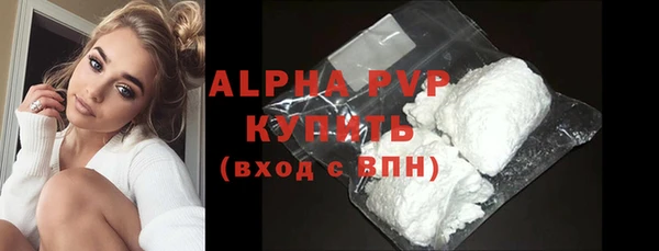 индика Богородицк