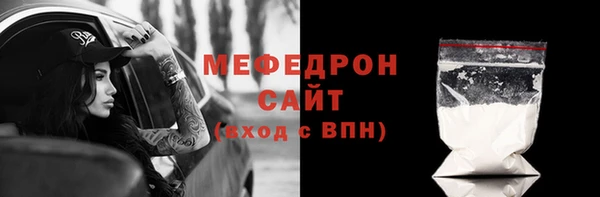 индика Богородицк