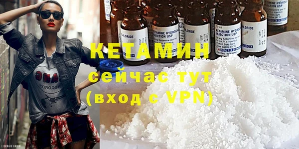 индика Богородицк