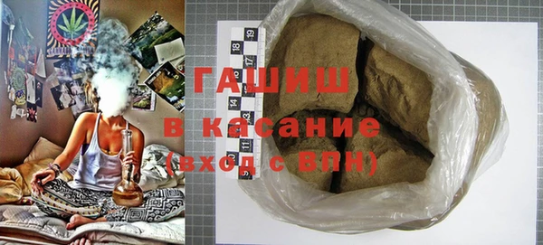 индика Богородицк