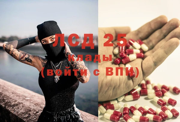 ПСИЛОЦИБИНОВЫЕ ГРИБЫ Богородск