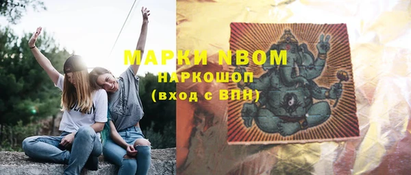 индика Богородицк