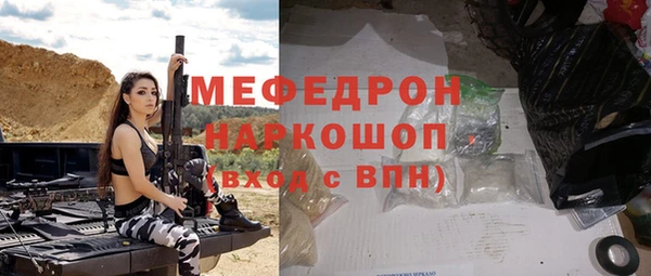 индика Богородицк