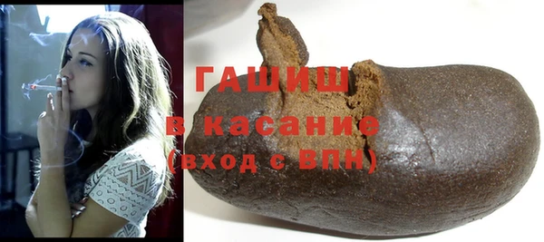 индика Богородицк