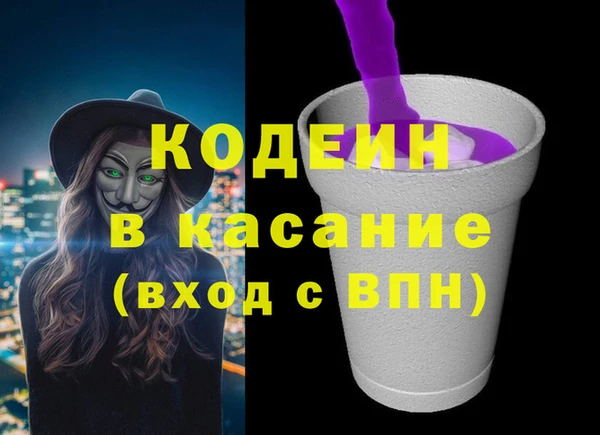 индика Богородицк