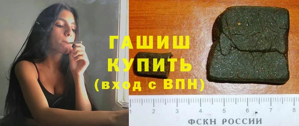 индика Богородицк