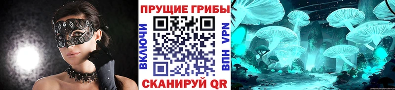 Галлюциногенные грибы мухоморы  блэк спрут ССЫЛКА  Орск 